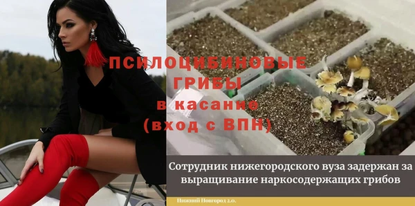 спиды Нязепетровск