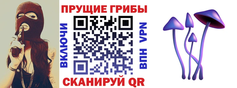 Псилоцибиновые грибы прущие грибы  Болхов 